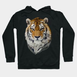 Tiger Hoodie